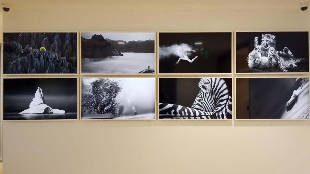 Entertainment Wall 1.jpg